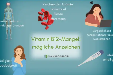 Vitamin B12-Mangel: Mögliche Anzeichen wie Müdigkeit, Nervenschmerzen, Vergesslichkeit und Infektanfälligkeit. Augen sind nicht direkt aufgeführt, aber Symptome können indirekt die Sehkraft beeinflussen.