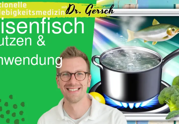 Dr. Gersch erklärt den Eisengehalt von Fisch. Ein Fisch schwimmt über einem Topf mit kochendem Wasser, daneben Brokkoli.