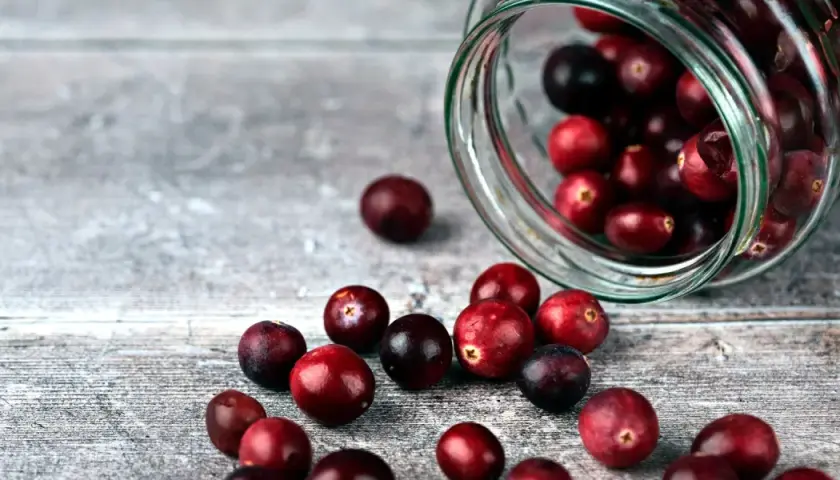 Frische Cranberries, die aus einem Glas rollen. Sie sind eine gesunde Wahl, besonders für Cranberries in der Schwangerschaft.
