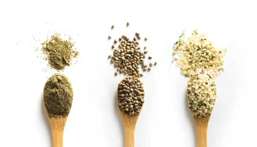 Drei Löffel mit Hanfsamen, Hanfprotein und geschälten Hanfsamen. Entdecke die vielfältige hanfsamen wirkung für deine Gesundheit.