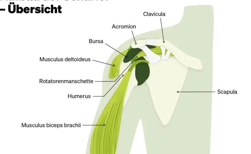 Schmerz am Schulterblatt - Was dahinter steckt & was hilft
