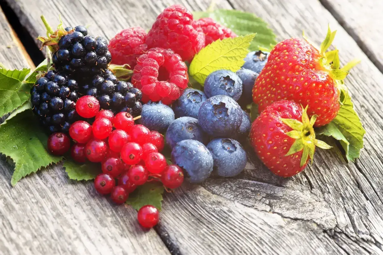 Frische Beeren wie Brombeeren, Himbeeren, Blaubeeren und Erdbeeren. Ihre tiefen Farben deuten auf die positive anthocyane wirkung hin, die gut für die Gesundheit ist.